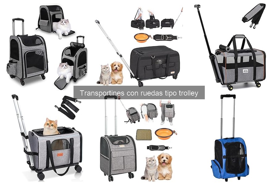 Problemas comunes con transportines con ruedas para mascotas