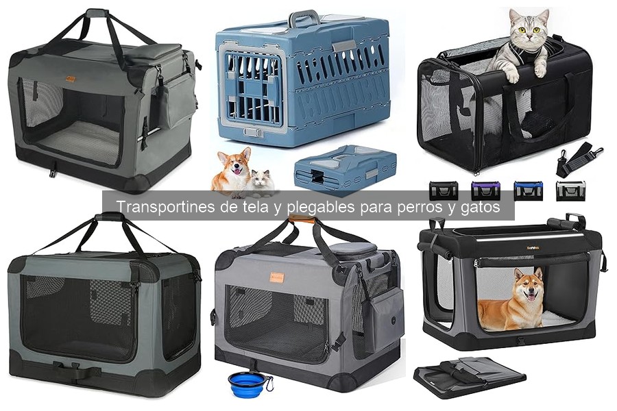 Problemas comunes con transportines de tela para perros