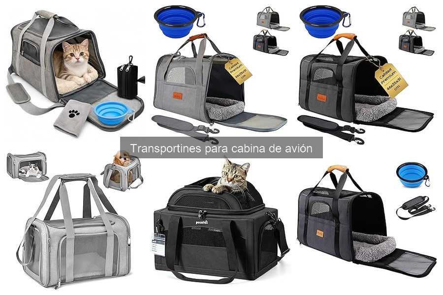 Problemas comunes con transportines para aviones y soluciones