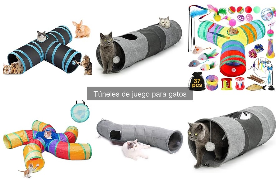 Problemas comunes con túneles de juego para gatos