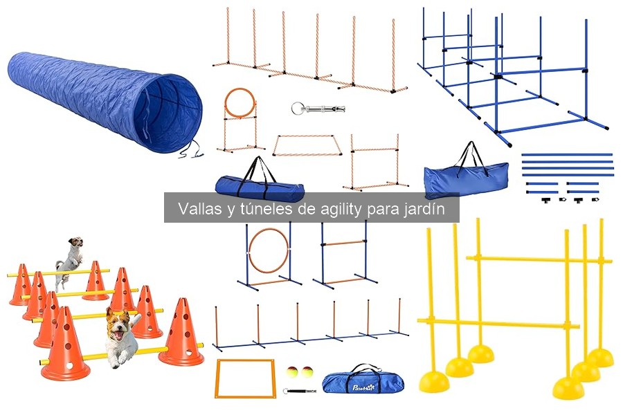 Problemas comunes con vallas y túneles de agility para perros