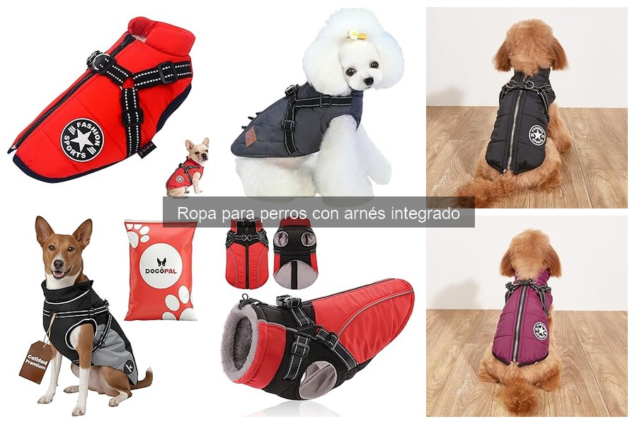 Problemas comunes de la ropa con arnés integrado para perros