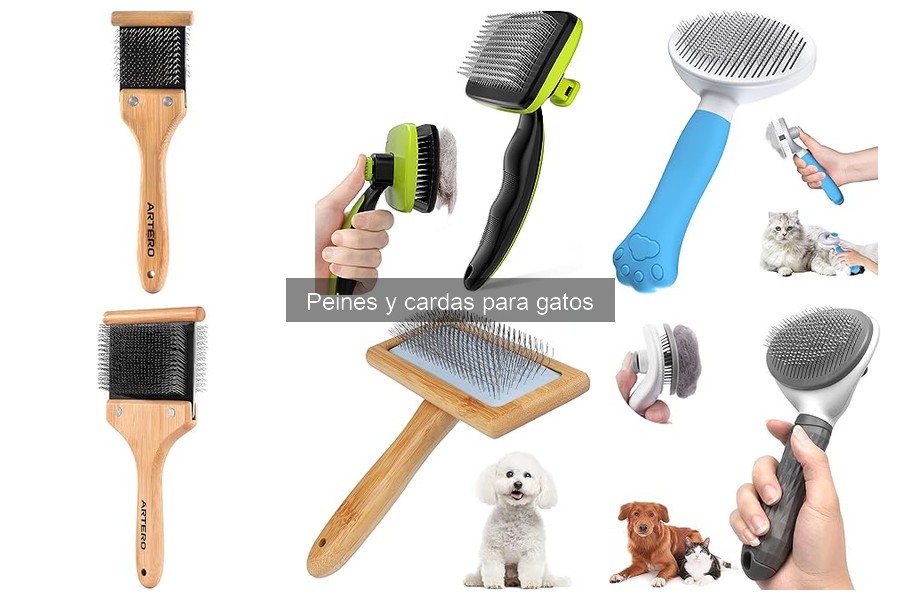 Problemas de piel por peines incorrectos en gatos: soluciones