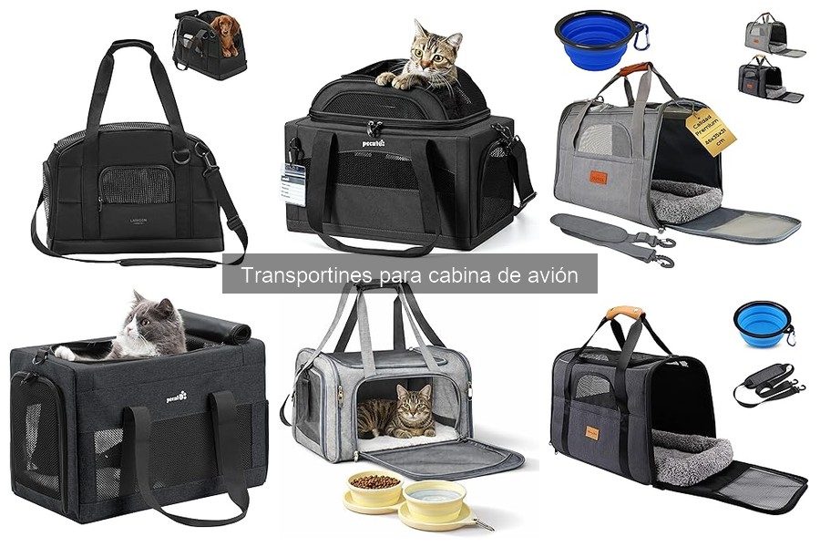 ¿Puedo usar un transportín de mascota como maleta?