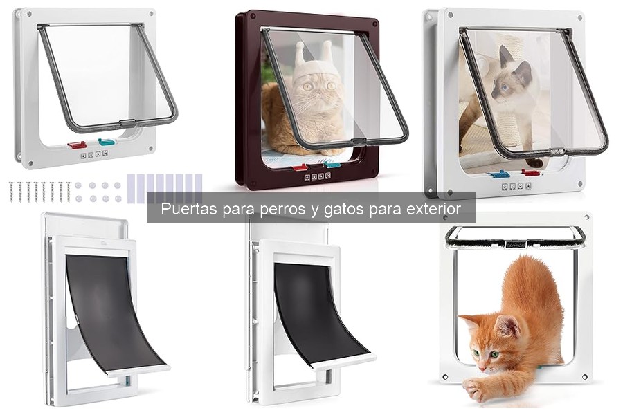 Puertas para Gatos: Consideraciones Especiales y Recomendaciones