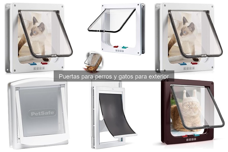 Puertas para mascotas en casas pequeñas: opciones ideales