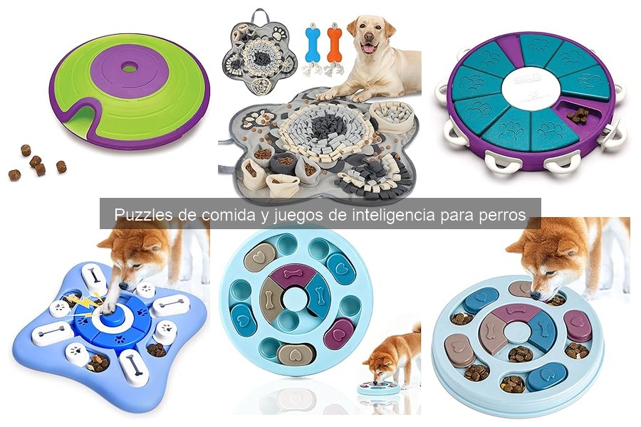 Puzzles de comida: ¿Ayudan a reducir la ansiedad en perros?