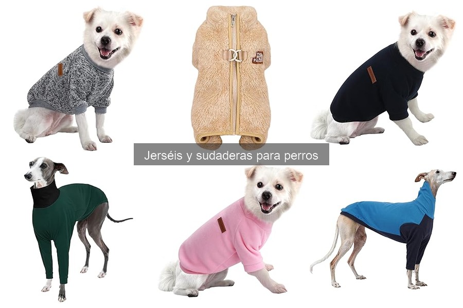 Qué considerar al comprar un jersey con capucha para perros