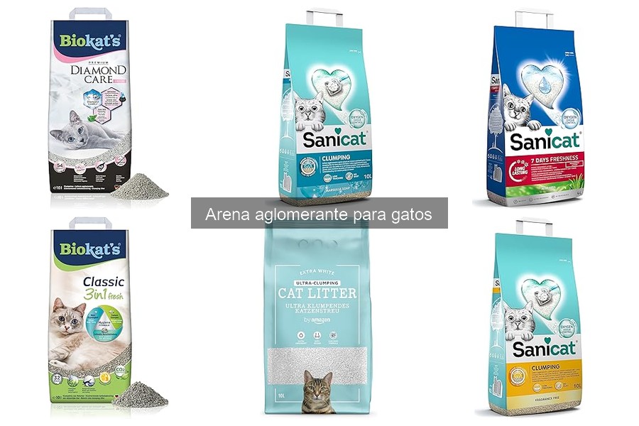 ¿Qué es la arena aglomerante para gatos? Todo lo que debes saber