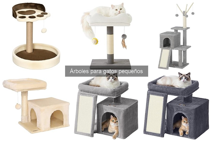 ¿Qué es un árbol para gatos pequeños? Características y beneficios
