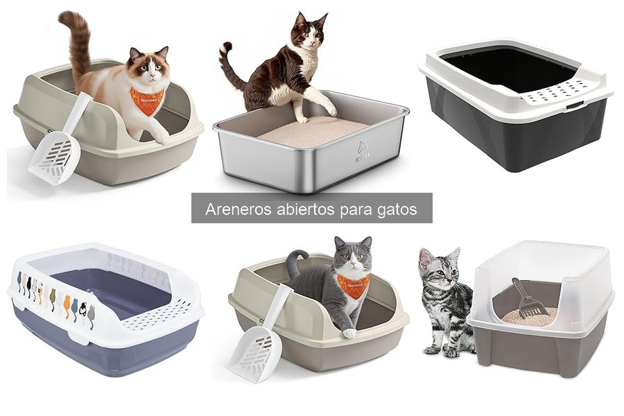 ¿Qué es un arenero abierto para gatos? Características y beneficios