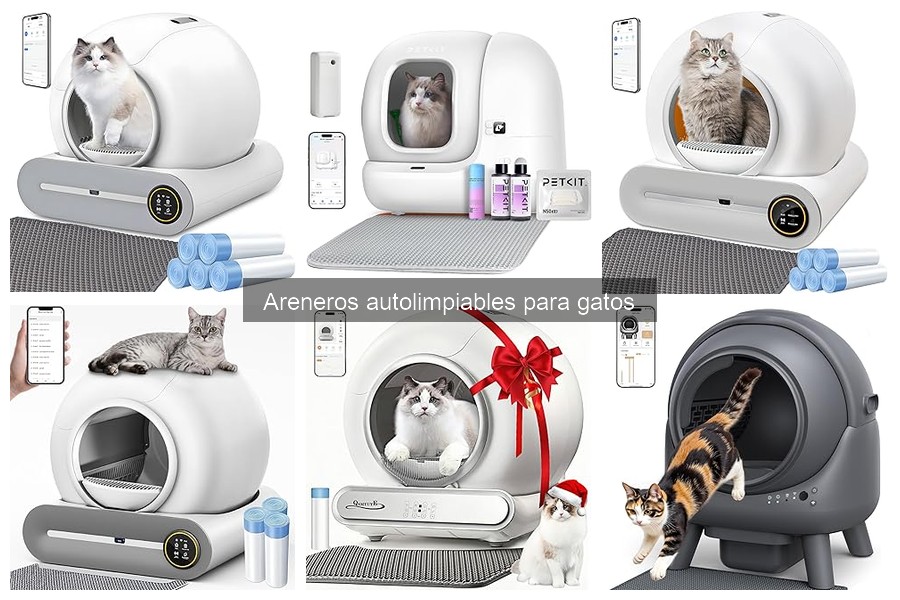 ¿Qué es un arenero autolimpiable para gatos? Guía completa