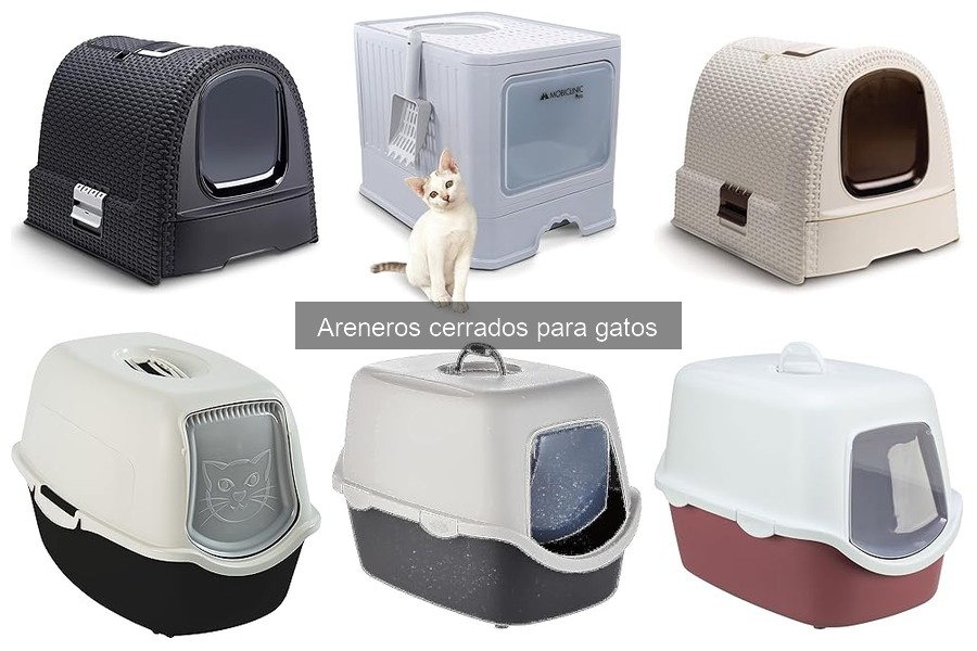 ¿Qué es un arenero cerrado para gatos? Características y beneficios