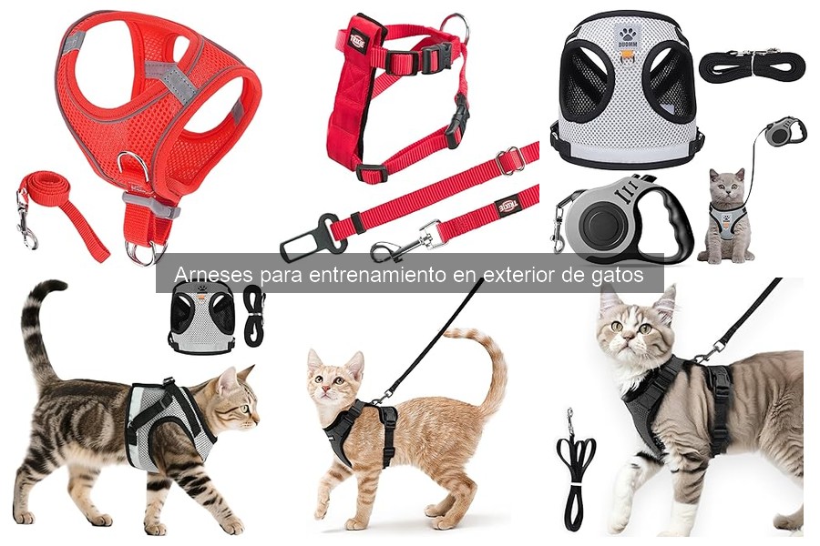 ¿Qué es un arnés para entrenamiento de gatos?