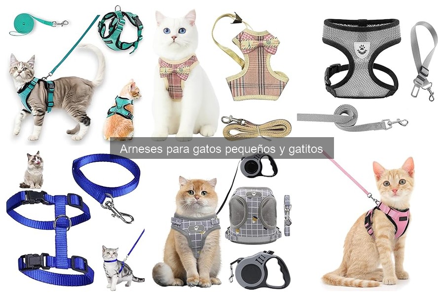 ¿Qué es un arnés para gatos pequeños? Características y ventajas