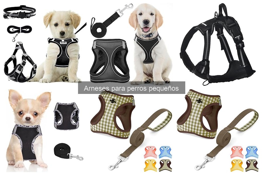 ¿Qué es un arnés para perros pequeños? Guía y beneficios