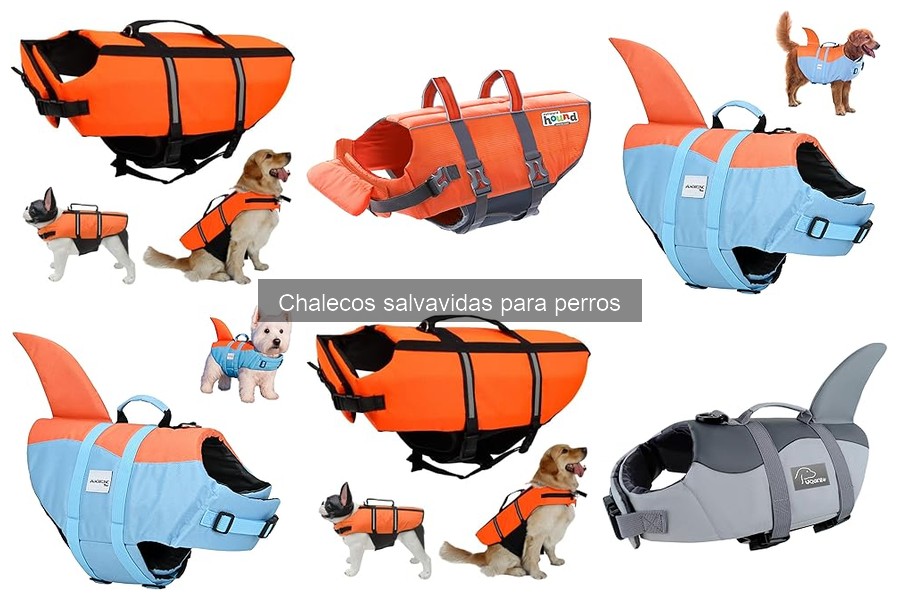 ¿Qué es un chaleco salvavidas para perros? Descubre sus funciones