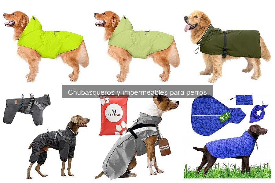 ¿Qué es un chubasquero para perros? Características y beneficios