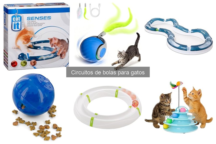 ¿Qué es un circuito de bolas para gatos? Descubre sus beneficios