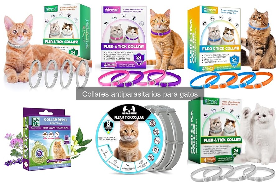 ¿Qué es un collar antiparasitario para gatos? Funciones y beneficios