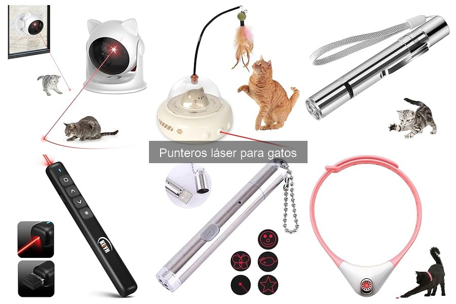 ¿Qué es un puntero láser para gatos? Beneficios y funciones