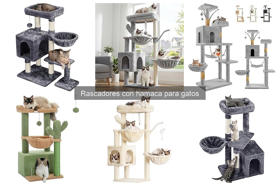 ¿Qué es un rascador con hamaca para gatos? Descúbrelo aquí