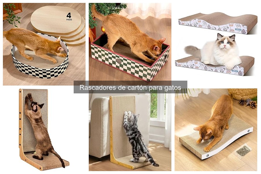 ¿Qué es un rascador de cartón para gatos? Beneficios y más