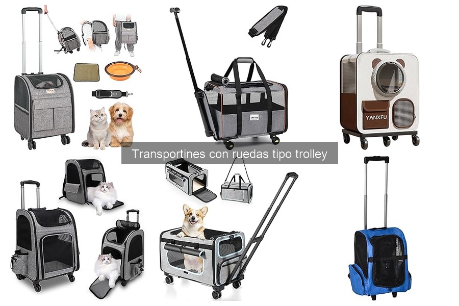 ¿Qué es un transportín con ruedas tipo trolley para mascotas?