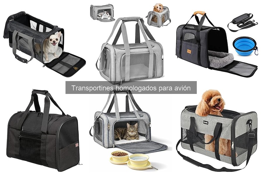 ¿Qué es un transportín homologado para avión?