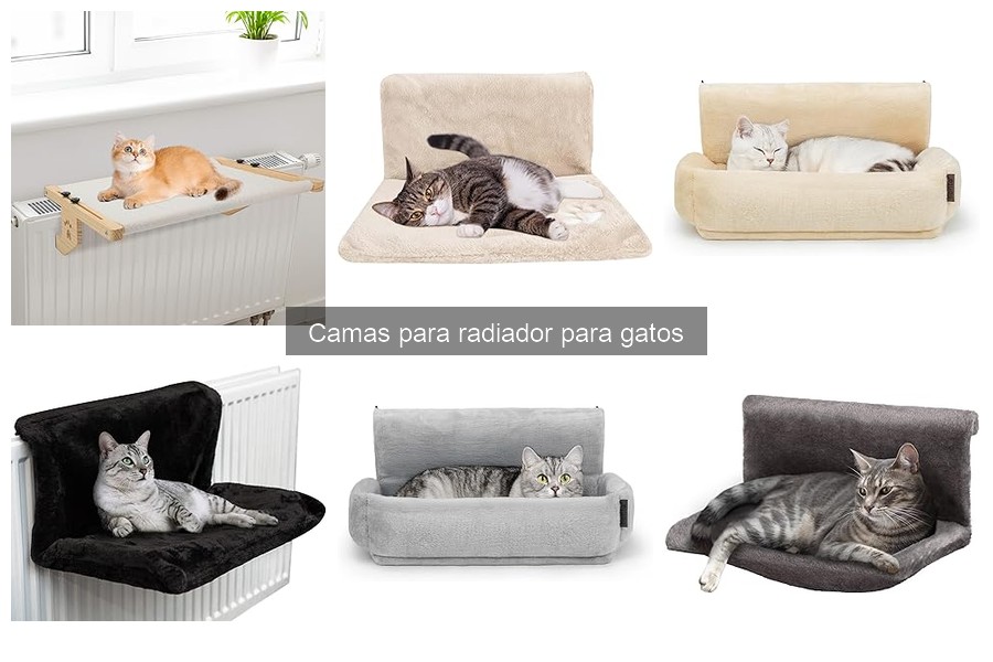¿Qué es una cama para radiador para gatos? Descúbrelo aquí