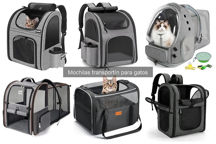 ¿Qué es una mochila transportín para gatos? Guía completa