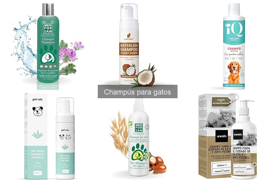¿Qué hacer si el champú irrita la piel de mi gato?