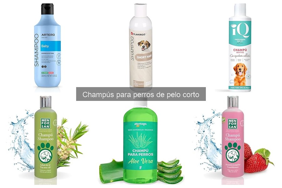 ¿Qué hacer si el champú para perros de pelo corto irrita la piel?