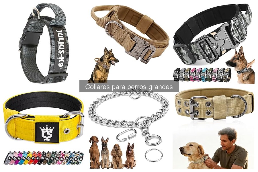 ¿Qué hacer si el collar no le queda bien a tu perro grande?