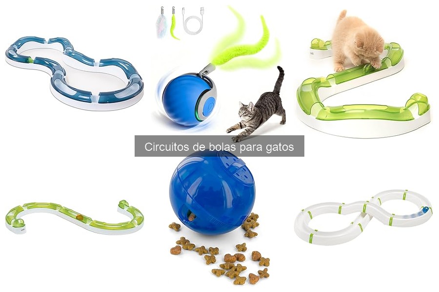 ¿Qué hacer si mi gato no juega con el circuito de bolas?
