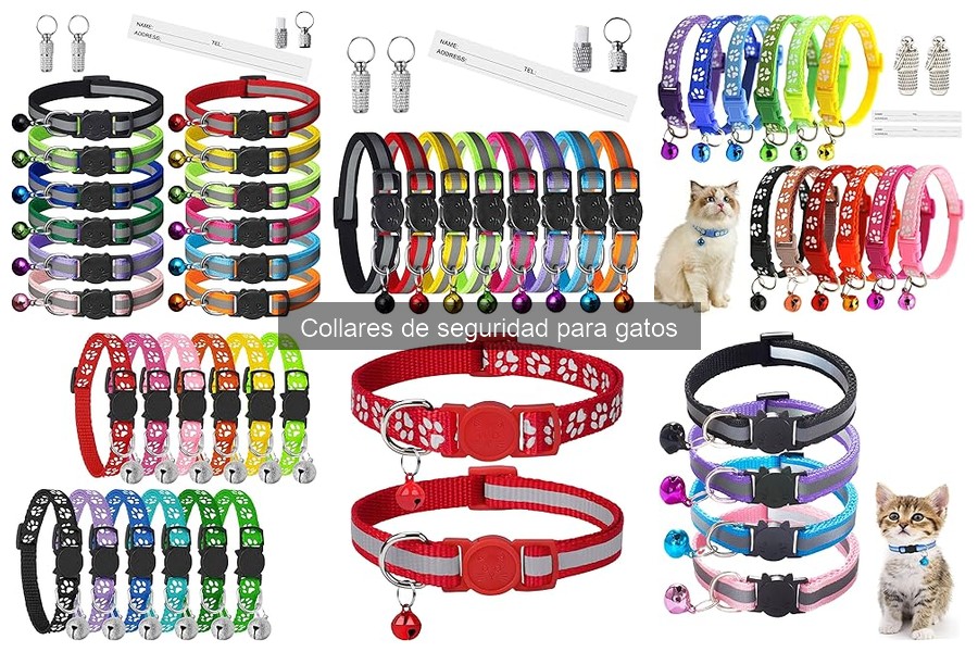 ¿Qué hacer si mi gato se quita el collar de seguridad?