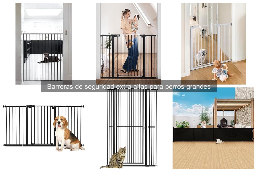 ¿Qué hacer si mi perro no se adapta a la barrera de seguridad?