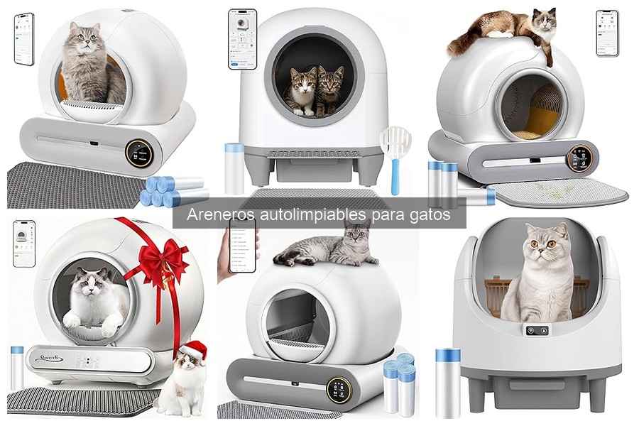 ¿Qué hacer si tu arenero autolimpiable no funciona?