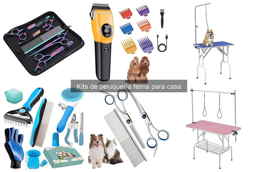 ¿Qué incluye un kit completo de peluquería para gatos?