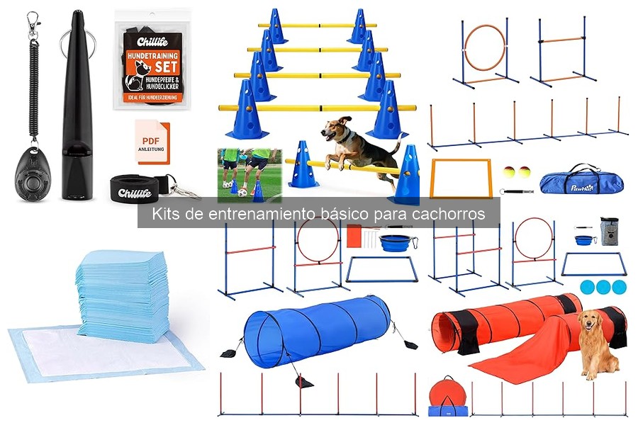 ¿Qué Incluye un Kit de Entrenamiento Básico para Cachorros?