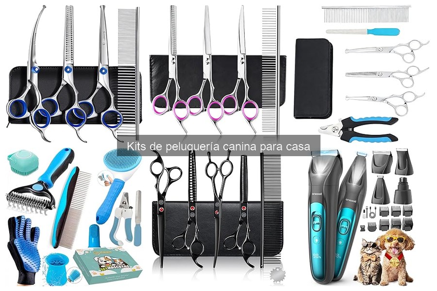 ¿Qué incluye un kit de peluquería canina para casa?