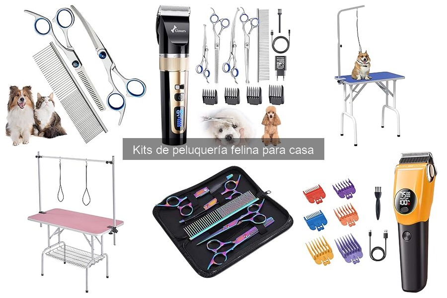 ¿Qué incluye un kit de peluquería para gatos?