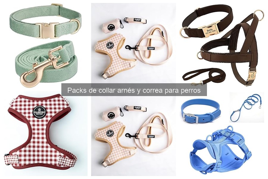 ¿Qué incluye un pack de collar, arnés y correa para perros?