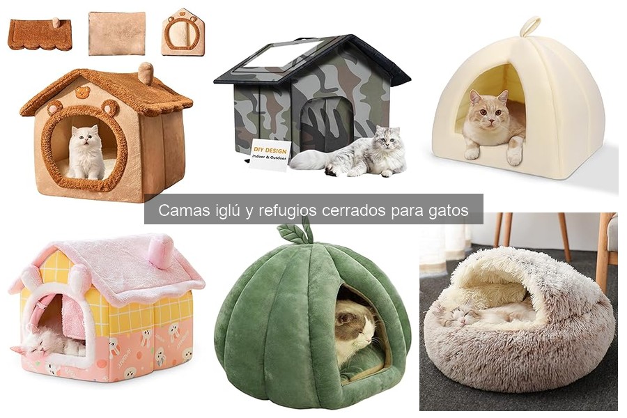 Qué son las camas iglú para gatos: características y beneficios