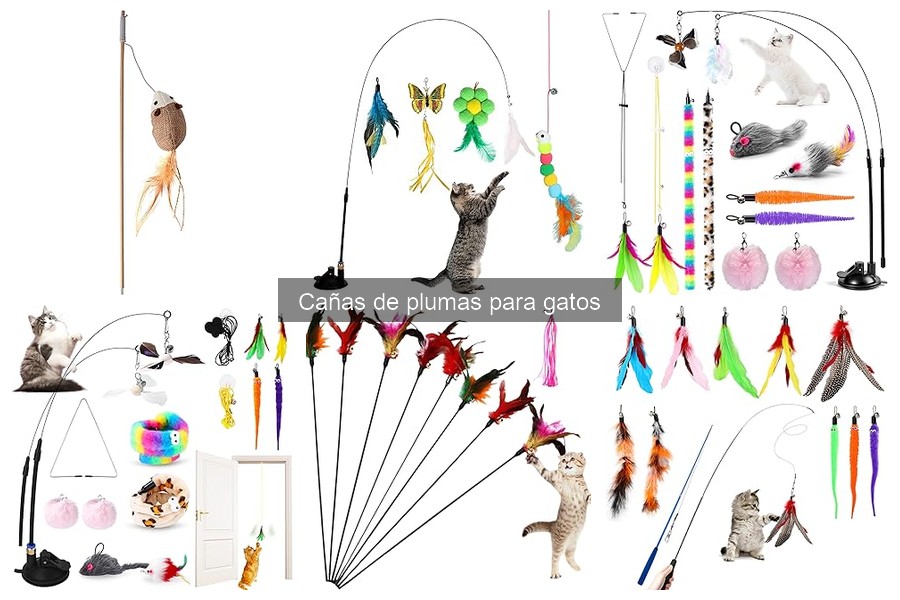 ¿Qué son las cañas de plumas para gatos? Guía completa