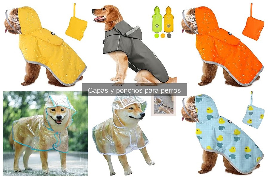 ¿Qué son las capas y ponchos para perros? Características clave