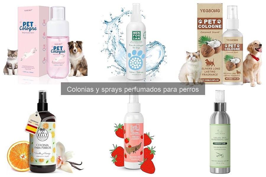 ¿Qué son las colonias y sprays perfumados para perros?
