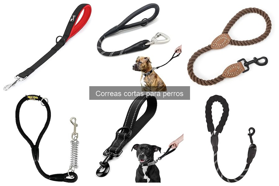 ¿Qué son las correas cortas para perros? Guía completa