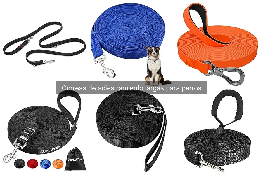 Qué son las correas de adiestramiento largas para perros