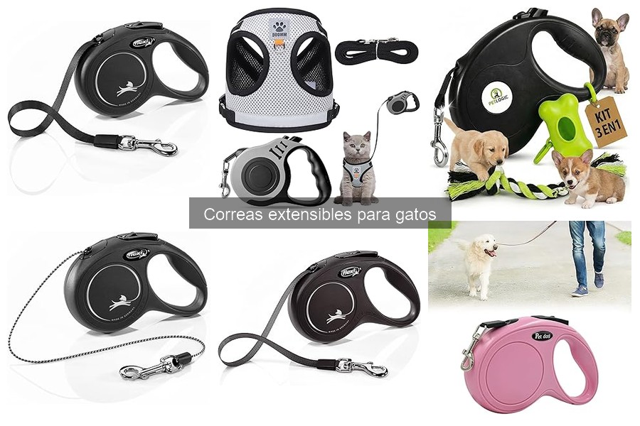¿Qué son las correas extensibles para gatos? Guía informativa